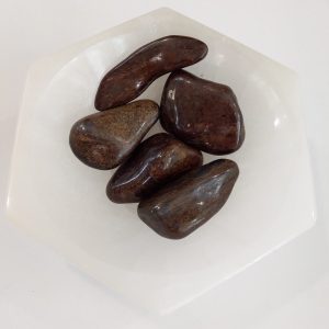 Pierre roulée bronzite