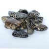 pierre roulée agate turitelle