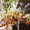 arbre de vier MULTI PIERRES