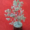 Arbre de vie jade