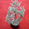 Arbre de vie jade