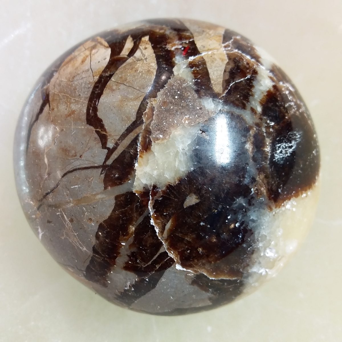 galet septaria