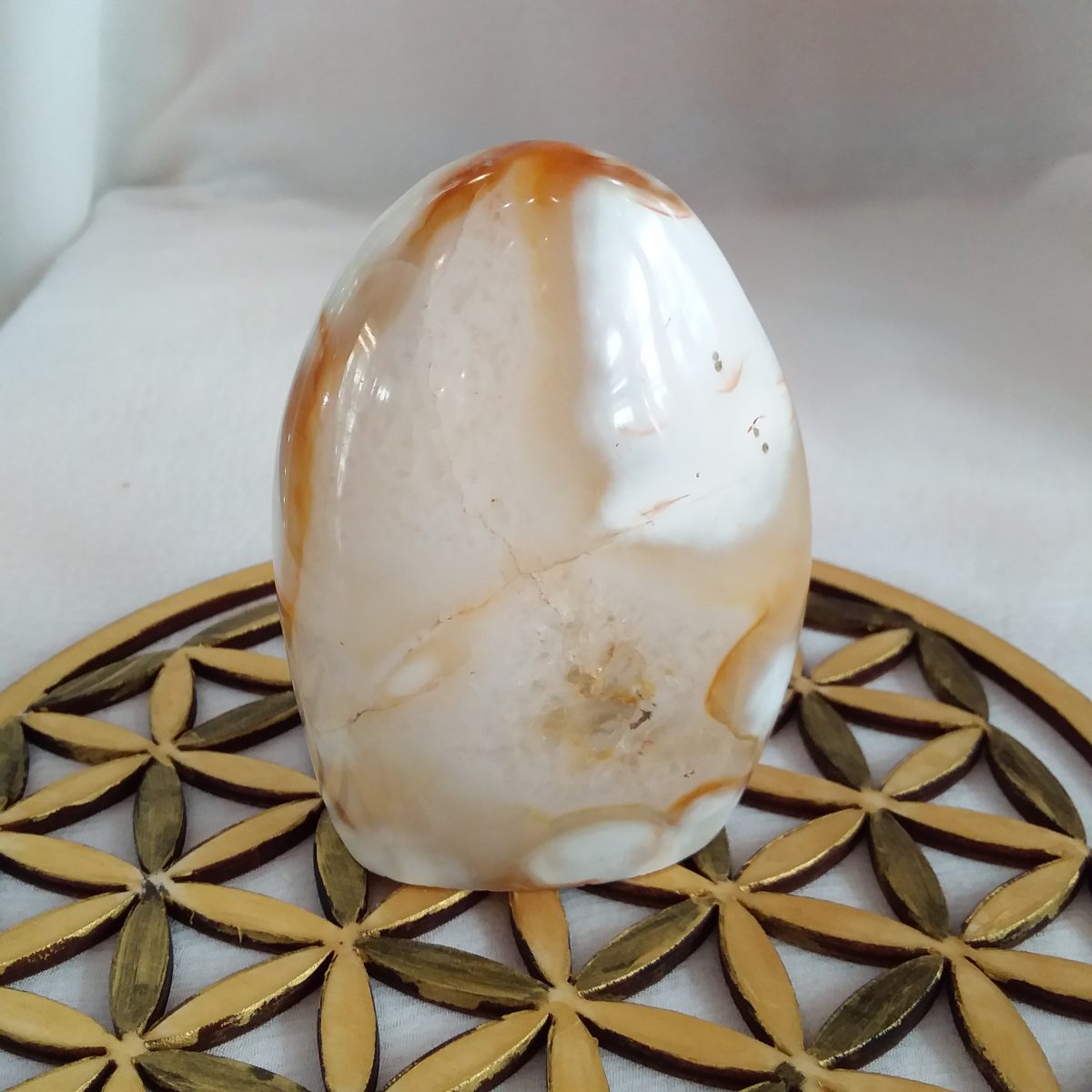 forme libre agate cornaline