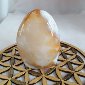 Forme libre agate cornaline